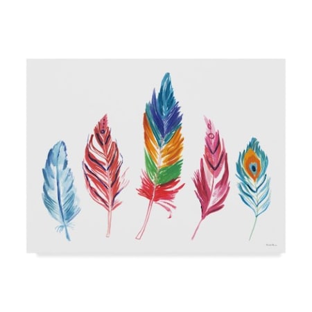 Farida Zaman 'Rainbow Feathers Iv' Canvas Art,35x47